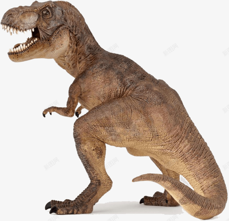 侏罗纪霸王龙png免抠素材_新图网 https://ixintu.com 侏罗纪 动物 动物世界 恐龙 生物 霸王龙
