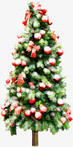 圣诞装饰树木节日素材