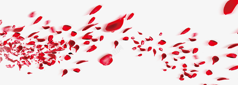 红色花瓣漂浮装饰png免抠素材_新图网 https://ixintu.com 漂浮 红色 花瓣 装饰
