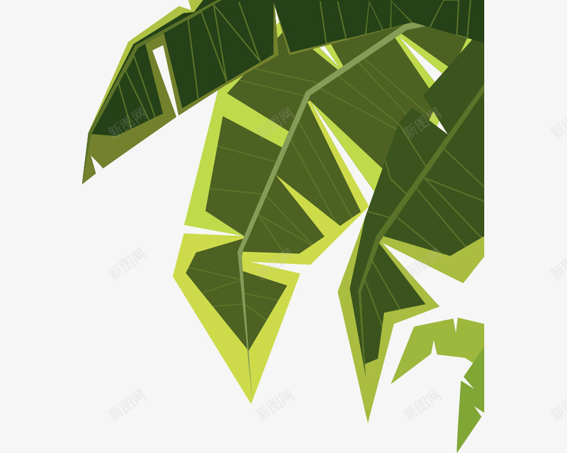 绿色椰子树叶png免抠素材_新图网 https://ixintu.com 夏日 旅行 树叶 椰子树 沙滩 绿色