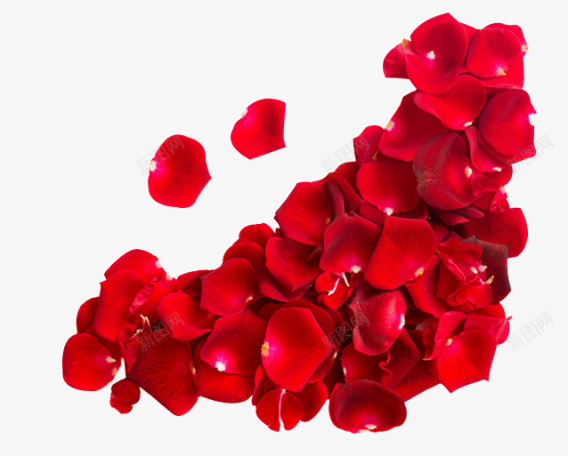 红色玫瑰花堆积在一起png免抠素材_新图网 https://ixintu.com 一起 堆积 玫瑰花 红色