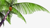 卡通海报植物椰子树沙滩素材
