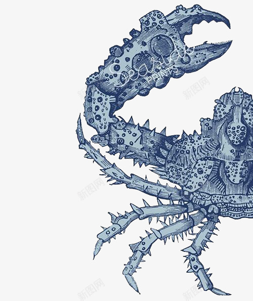手绘左半边螃蟹png免抠素材_新图网 https://ixintu.com 海鲜 蓝色 螃蟹素材 螃蟹肌理