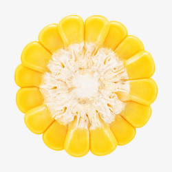 玉米矢量图实物一圈熟玉米高清图片