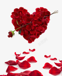 爱心组合爱心玫瑰花瓣组合爱心植物高清图片