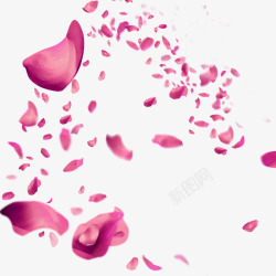 花瓣飘舞空中飘舞紫色花瓣高清图片