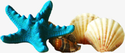 沙滩海边蓝色海星扇贝海螺素材
