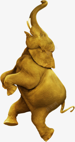 黄色大象摄影黄色的大象创意海报高清图片
