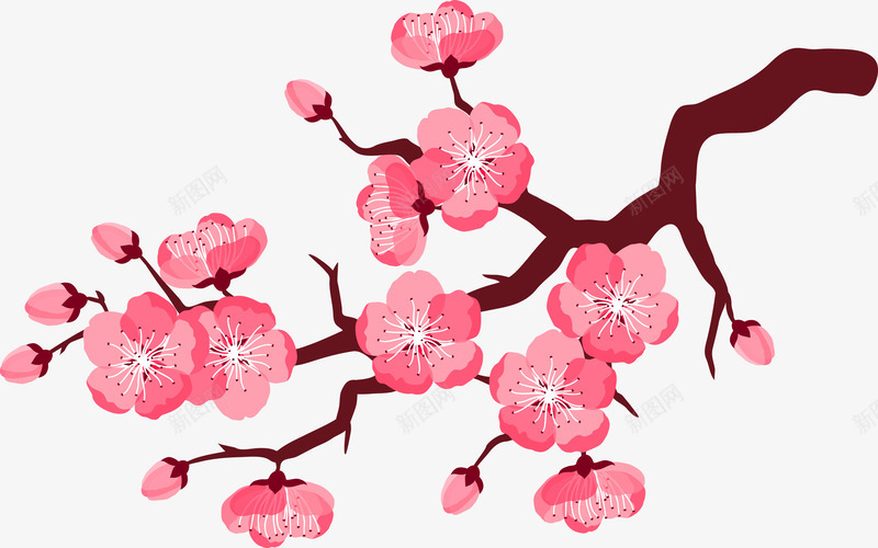 粉色的梅花png免抠素材_新图网 https://ixintu.com PNG图形 PNG装饰 树枝 梅花 植物 粉色 装饰