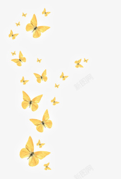 彩色舞黄色飞舞的蝴蝶高清图片