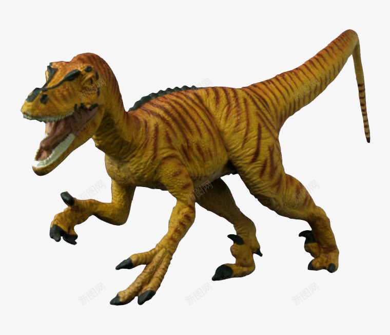 恐龙时代png免抠素材_新图网 https://ixintu.com 侏罗纪 侏罗纪公园 恐龙 恐龙世界 恐龙大全
