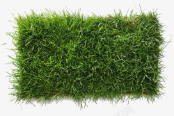 地毯绿色草皮高清图片