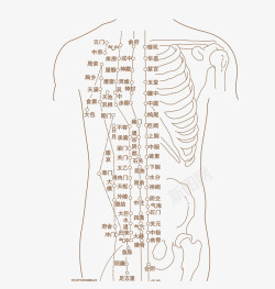 器官穴位图人体穴位图高清图片