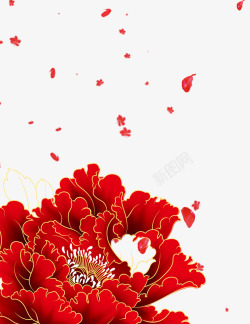 中国风牡丹花花卉高清图片