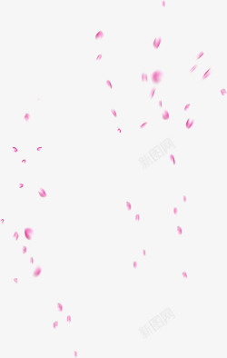 粉红色创意花瓣素材