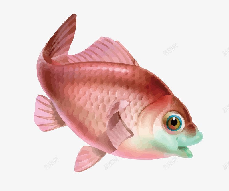 鱼类png免抠素材_新图网 https://ixintu.com 卡通鱼 手绘 捕鱼 河鲜 海鲜 矢量鱼 粉色 鱼类