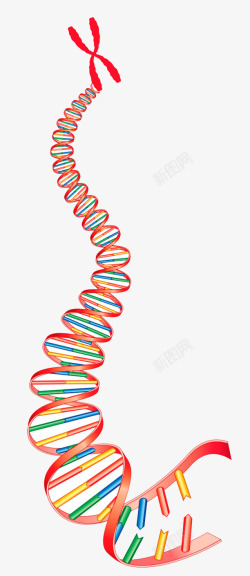 矢量染色体X染色体基因物质高清图片