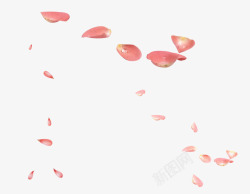飘飞的花瓣可爱小清新装饰海报装饰花瓣飘飞高清图片
