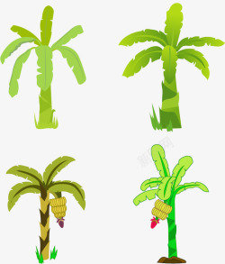 亚马逊热带植物矢量图素材