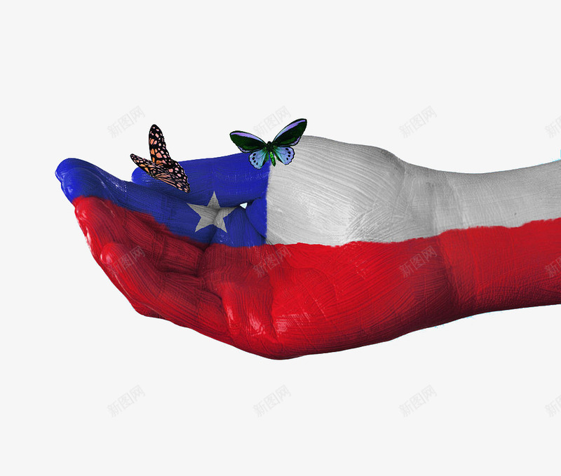 智利国旗手绘蝴蝶图案png免抠素材_新图网 https://ixintu.com 创意风格 国旗 国旗手绘 图案 手绘风格 智利 蝴蝶