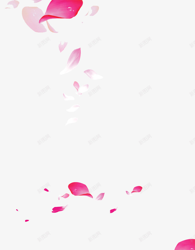 创意合成鲜艳的花瓣飘落元素png免抠素材_新图网 https://ixintu.com 元素 创意 合成 花瓣 飘落 鲜艳
