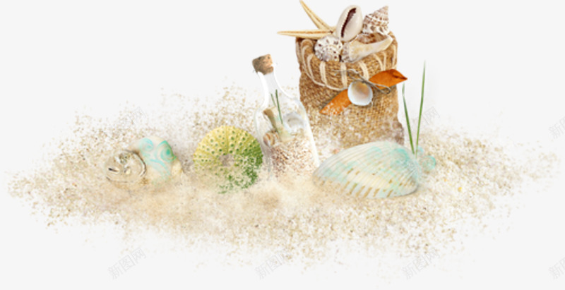 贝壳png免抠素材_新图网 https://ixintu.com 沙滩风情 海派星 海螺 装饰图案 贝壳