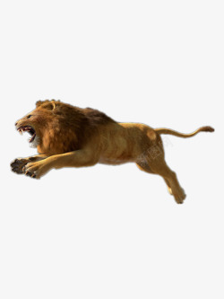 奔跑的狮子狮子高清图片