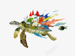 海龟背上的岛屿海龟背上的植物高清图片