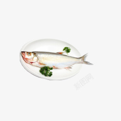 碗里白鲢鱼图素材