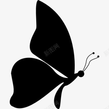 蝴蝶形状的侧面面对右图标图标
