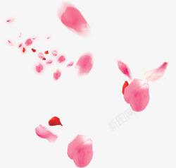手绘粉色花瓣海报素材