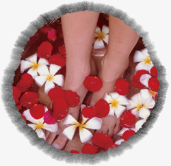 母婴店宣传花瓣足疗洗脚高清图片