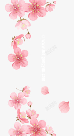 飘落的粉色花朵图素材