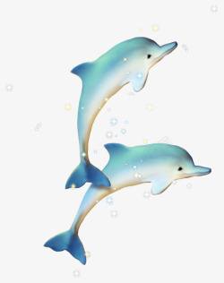 海豚logo蓝色海豚高清图片