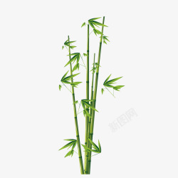 翠绿的竹子翠绿竹子矢量图高清图片