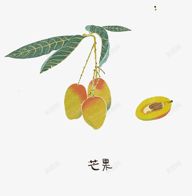 水彩芒果png免抠素材_新图网 https://ixintu.com 卡通 手绘 水彩 芒果 装饰