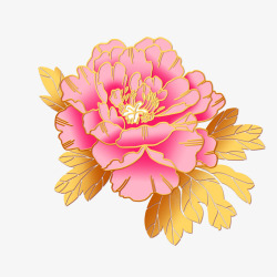 粉红色的牡丹花粉红色牡丹花透明高清图片