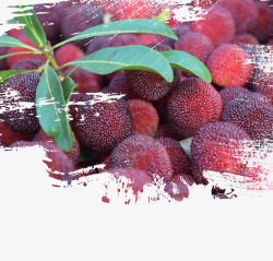 夏日大气背景水果海报之美味杨梅高清图片