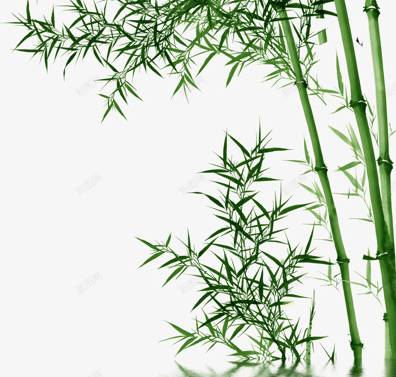 竹子翠竹psd免抠素材_新图网 https://ixintu.com 竹子 翠竹