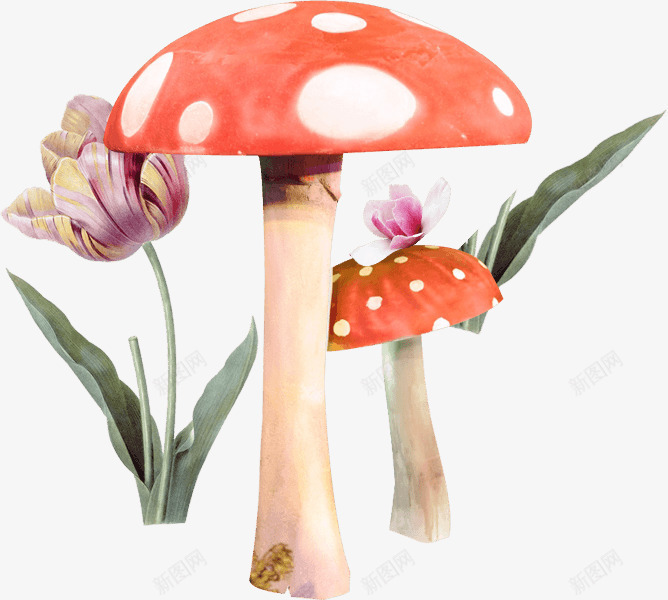 重拾童真蘑菇花朵png免抠素材_新图网 https://ixintu.com 花朵 蘑菇 重拾童真