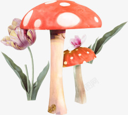 重拾自我重拾童真蘑菇花朵高清图片