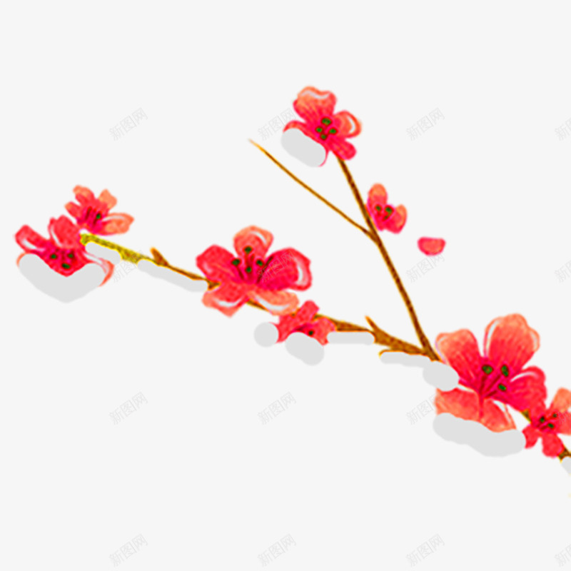 粉色花朵psd免抠素材_新图网 https://ixintu.com 开花 梅花 植物 渐变 生长 粉色 自然 花朵 阴影