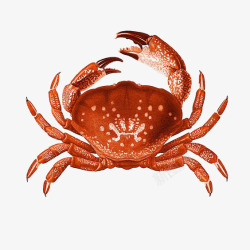 红色大闸蟹水彩螃蟹高清图片
