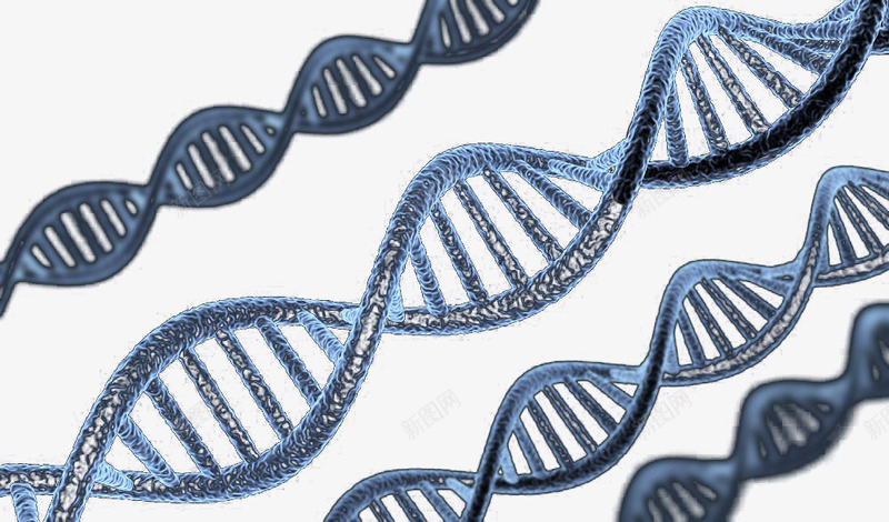 基因因子png免抠素材_新图网 https://ixintu.com 基因 基因链 遗传因子 遗传基因