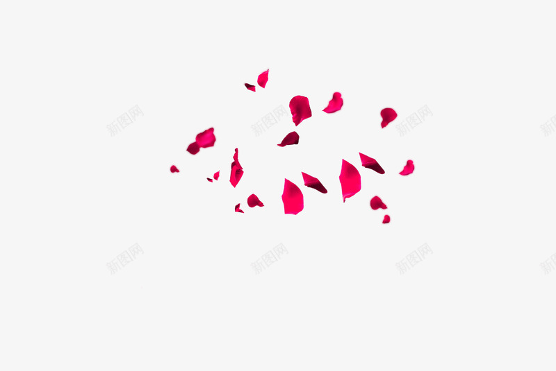 飘落粉红色花瓣png免抠素材_新图网 https://ixintu.com 素材 红色 背景 花瓣 花瓣装饰