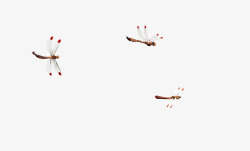 水彩蜻蜓蜻蜓高清图片