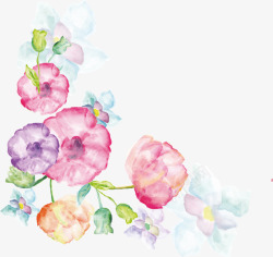 植物康乃馨手绘康乃馨水彩画11矢量图高清图片