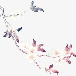粉白玫瑰花束兰花高清图片
