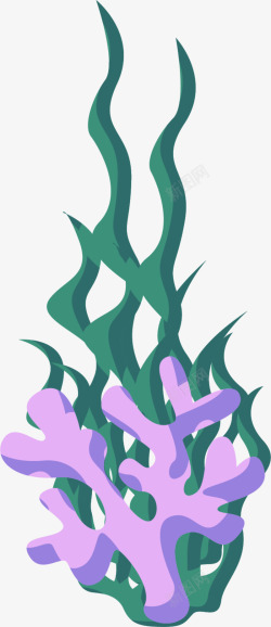 一株海草海洋植物舞动的海草高清图片