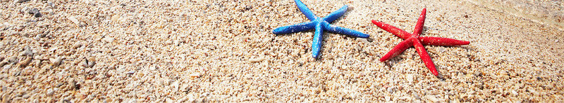 海边度假屋png免抠素材_新图网 https://ixintu.com 大海 度假屋 房子 景观 椰子树 沙滩 海星